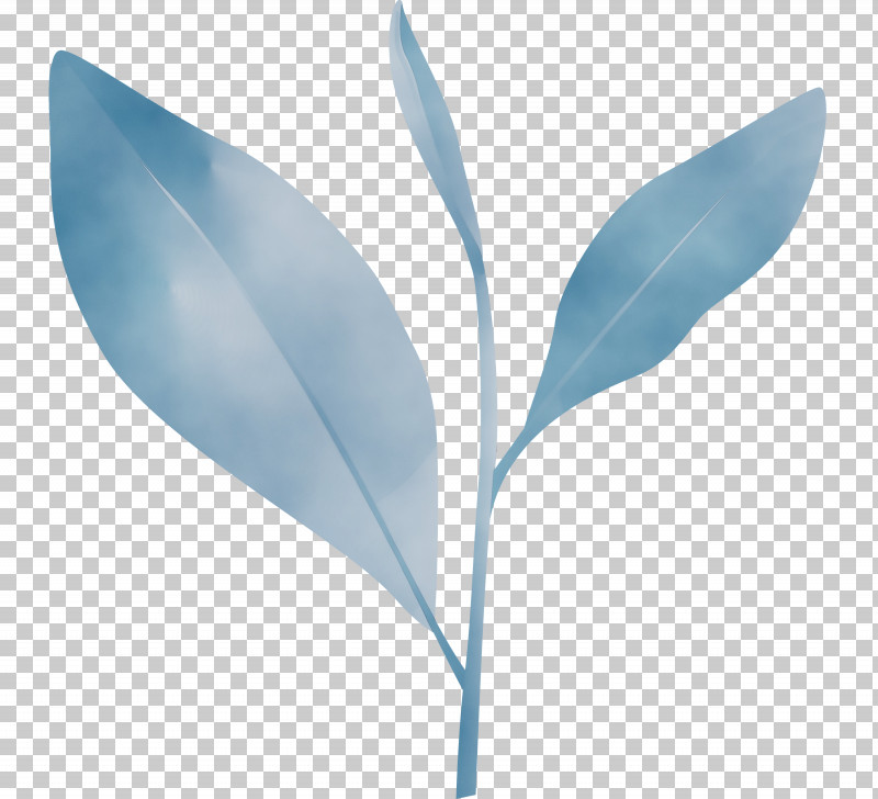 Feather PNG, Clipart, Blue, Eucalyptus, Feather, Flower, Grass Free PNG Download