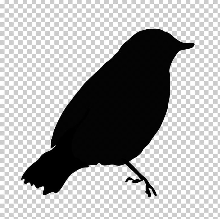 Bird Flight PNG, Clipart, American Crow, Animals, Beak, Bird, Bird Flight Free PNG Download
