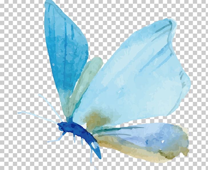 Butterfly Watercolor Painting Moth Euclidean PNG, Clipart, Animal, Arthropod, Butterfly Vector, Designer, Download Free PNG Download