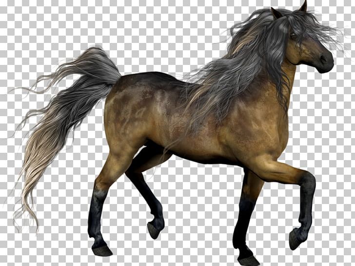 Mustang Stallion Pony Mane Mare PNG, Clipart, Animals, Bridle, Halter, Hand Drawn, Hand Painted Free PNG Download