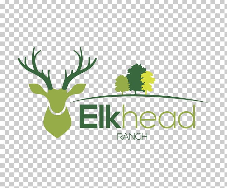 Red Deer Logo Elk PNG, Clipart, Animals, Antler, Brand, Deer, Elk Free PNG Download