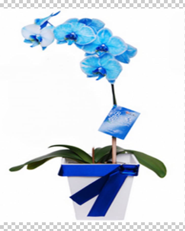 Moth Orchids Cut Flowers Blue PNG, Clipart, Blue, Cobalt Blue, Cut Flowers, Flora, Floral Design Free PNG Download