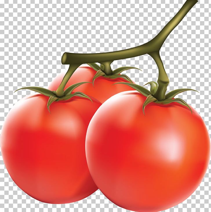 Tomato Capsicum PNG, Clipart, Apple, Beachbody, Bikini, Bush Tomato, Cherry Free PNG Download