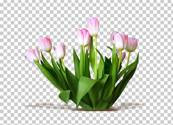 Tulip Cut Flowers PNG, Clipart, Artificial Flower, Bud, Cut Flowers, Easter, Floral Design Free PNG Download