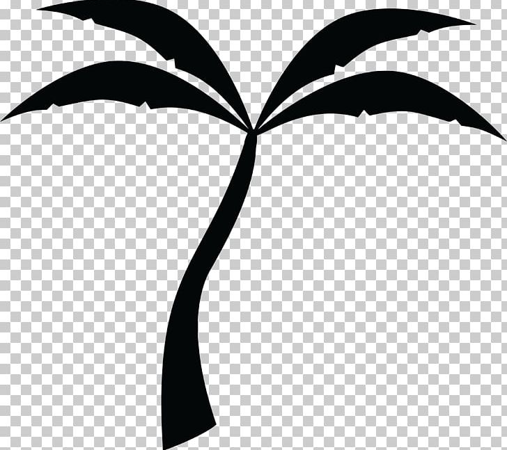 Arecaceae Silhouette Tree PNG, Clipart, Animals, Arecaceae, Artwork, Black And White, Branch Free PNG Download