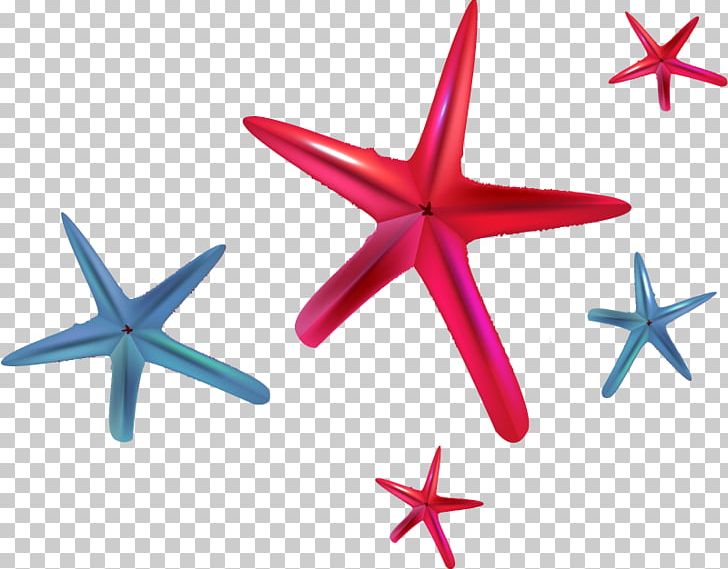 Euclidean Starfish PNG, Clipart, Animals, Beautiful Starfish, Blue, Cartoon Starfish, Class Free PNG Download