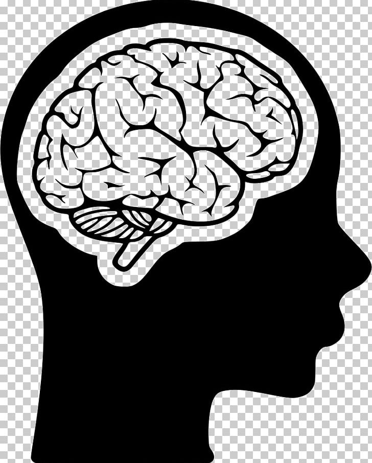 Midbrain Cognitive Training Human Head Human Brain PNG, Clipart, Black And White, Brain, Brain Injury, Cognitive Training, Computer Icons Free PNG Download