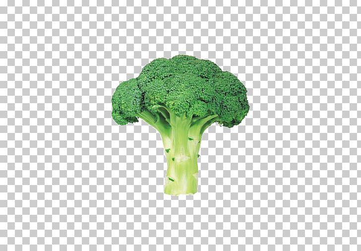Organic Food Vegetable Broccoli PNG, Clipart, Background Green, Broccoli, Cooking, Eating, Flavor Free PNG Download