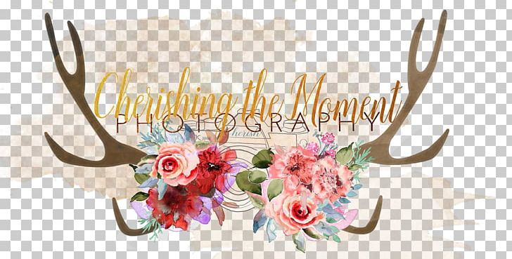 Photography Zenfolio Fotolia Floral Design Setmore Appointments PNG, Clipart, Antler, Blog, Cassy, Cherish, Cherish The Moment Free PNG Download