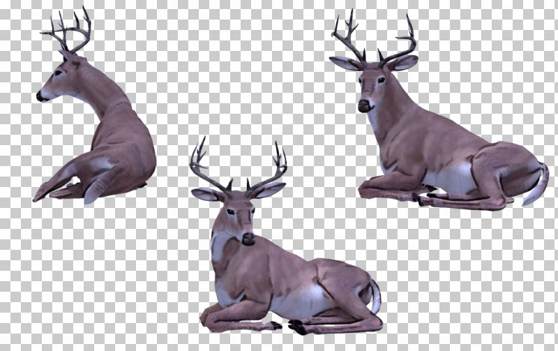 Reindeer PNG, Clipart, Animal Figure, Antelope, Antler, Deer, Elk Free PNG Download