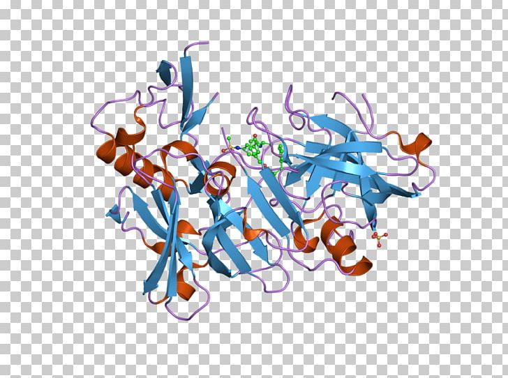 Beta-secretase 1 Amyloid Precursor Protein Secretase Amyloid Beta Enzyme PNG, Clipart, Amyloid Beta, Amyloid Precursor Protein, Art, Beta, Betasecretase 1 Free PNG Download