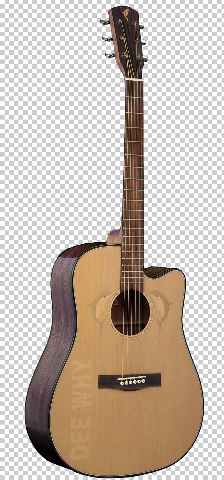Steel-string Acoustic Guitar Dreadnought Classical Guitar PNG, Clipart,  Free PNG Download