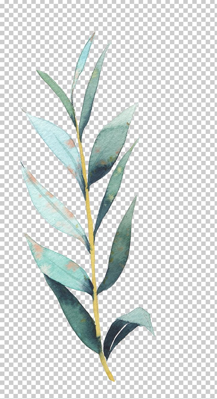 Drawing Art Stock Illustration Illustration PNG, Clipart, Branch, Decorative Arts, Flower, Graphic Design, Hand Painted Free PNG Download