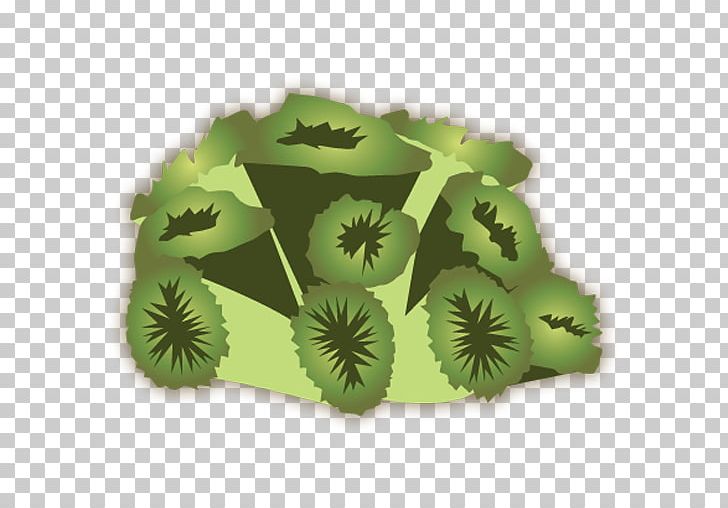 Leaf PNG, Clipart, Grass, Green, Leaf Free PNG Download