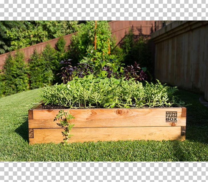 Raised-bed Gardening Container Garden Organic Horticulture Yard PNG, Clipart, Back Garden, Backyard, Bed, Bench, Chromated Copper Arsenate Free PNG Download
