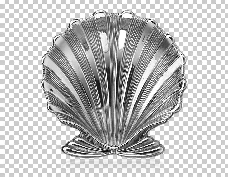 Seashell Household Silver Buccellati Jewellery PNG, Clipart, Animals, Black And White, Bowl, Buccellati, Charms Pendants Free PNG Download