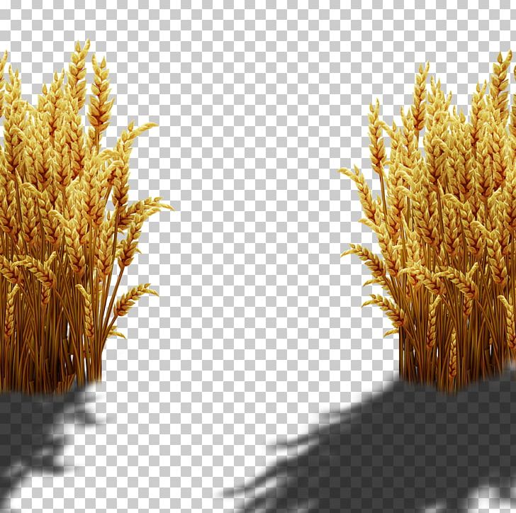 Wheat PNG, Clipart, Animation, Commodity, Computer Icons, Computer Wallpaper, Creative Free PNG Download