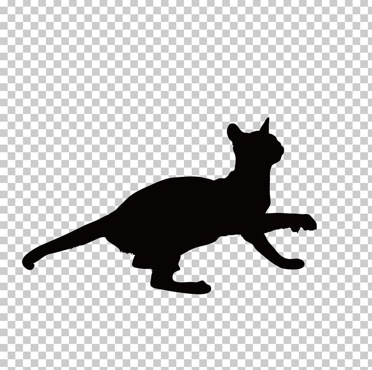 Black Cat Kitten Whiskers Around PNG, Clipart, Animal, Animals, Around, Black, Black And White Free PNG Download