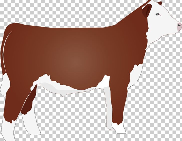 Hereford Cattle Beef Cattle Angus Cattle PNG, Clipart, American Hereford Association, Angus Cattle, Beef Cattle, Bull, Cattle Free PNG Download
