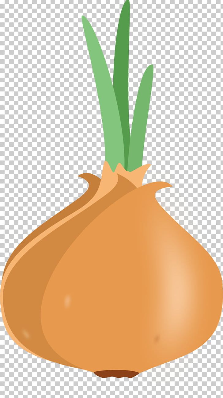 Onion Borscht Drawing Vegetable Raster Graphics PNG, Clipart, Borscht, Broth, Commodity, Cucurbita, Digital Image Free PNG Download
