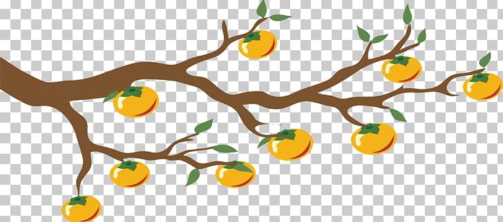 Food Tree Branch Citrus PNG, Clipart, Autumn, Autumn Leaf Color, Autumn Tree, Branch, Branches Free PNG Download