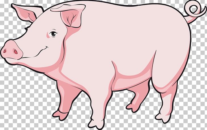 Pig Cartoon PNG, Clipart, Animals, Animation, Artwork, Boar, Cartoon Cartoons Free PNG Download
