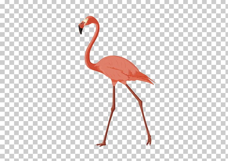 Crane Bird Animal PNG, Clipart, Animal, Animals, Beak, Bird, Computer Icons Free PNG Download