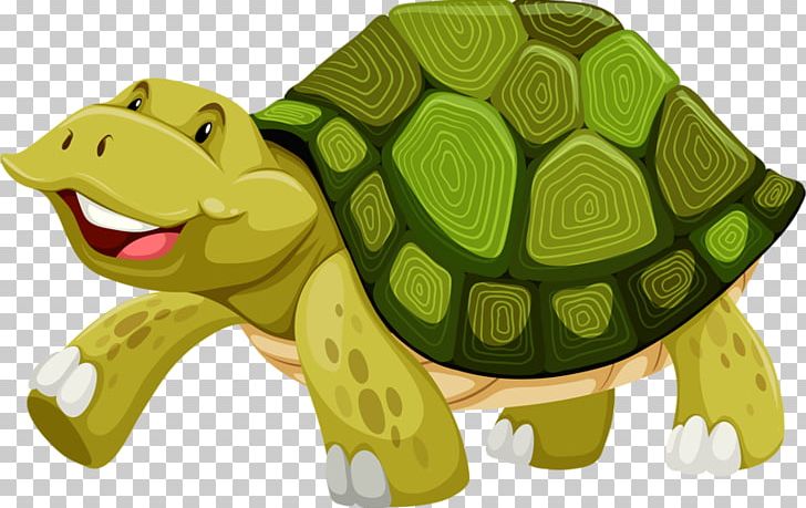 Turtle Shell Illustration PNG, Clipart, Animals, Cartoon, Fauna, Green Sea Turtle, Happy Anniversary Free PNG Download