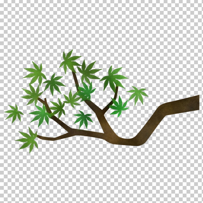 Maple Branch Maple Leaves Maple Tree PNG, Clipart, Branch, Flower, Grass, Green, Hemp Family Free PNG Download
