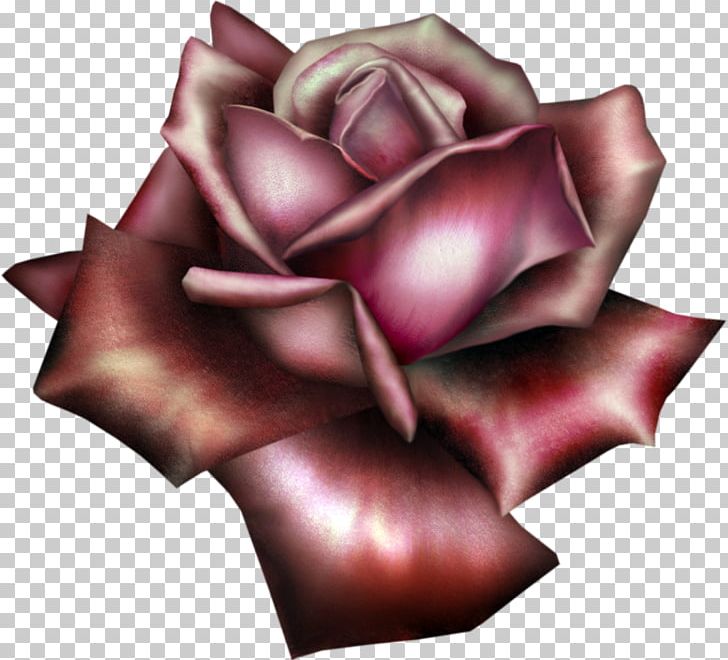 Flower Garden Roses PNG, Clipart, Avatar, Beautiful, Clipart, Clip Art, Closeup Free PNG Download