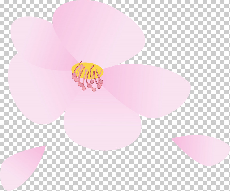 Pink Petal Flower Magenta Plant PNG, Clipart, Cherry Flower, Floral, Flower, Magenta, Moth Orchid Free PNG Download