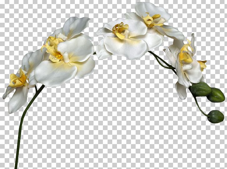 Baku Flower Festival Drawing PNG, Clipart, Artificial Flower, Baku Flower Festival, Cut Flowers, Designer, Drawing Free PNG Download