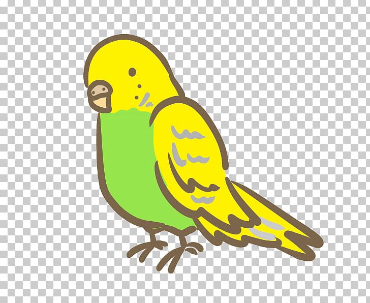 Budgerigar Macaw Bird Parakeet PNG, Clipart, Animals, Artwork, Beak, Bird, Blue Free PNG Download
