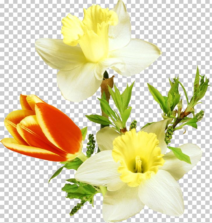 Flower PNG, Clipart, Cut Flowers, Email, Encapsulated Postscript, Floral Design, Floristry Free PNG Download