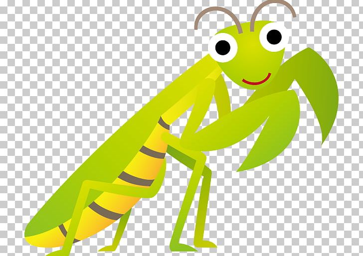 Insect Cartoon PNG, Clipart, Amphibian, Animals, Artwork, Cartoon, Download Free PNG Download