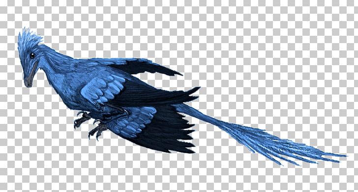 Microraptor Archaeopteryx Gigantoraptor Yixian Formation Dinosaur PNG, Clipart, Avialae, Beak, Bird, Crow, Crow Like Bird Free PNG Download