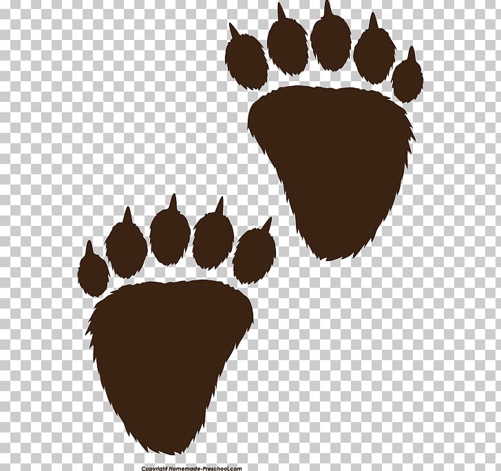 American Black Bear Polar Bear Paw PNG, Clipart, American Black Bear, Animal Track, Art, Bear, Carnivoran Free PNG Download