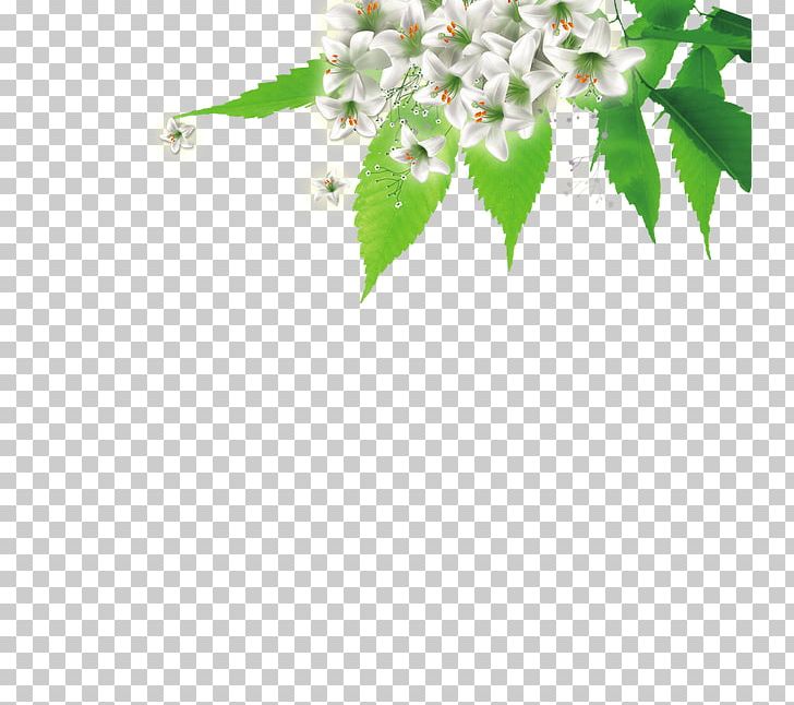 Photography PNG, Clipart, Branch, Download, Flower, Flower Bouquet, Flower Pattern Free PNG Download