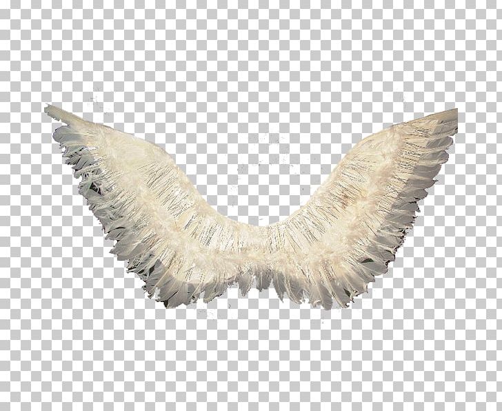 Angel Wing Feather Тропик Парти PNG, Clipart, Angel, Angel Wing, Animals, Black, Color Free PNG Download