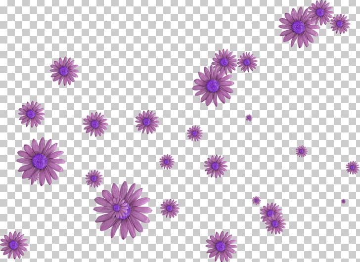 Purple Violet Photography PNG, Clipart, Art, Aster, Chrysanths, Computer Icons, Computer Wallpaper Free PNG Download