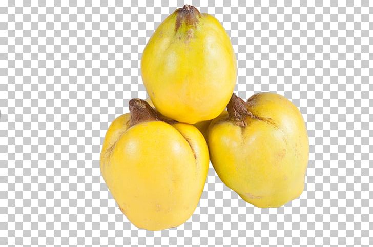 Quince Fruit Pome Fruit Tree Auglis PNG, Clipart, Apple, Apple Fruit, Apricot, Auglis, Food Free PNG Download