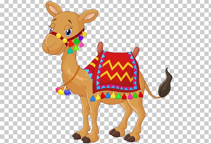 Child Photography Others PNG, Clipart, Animal Figure, Arabian Camel, Arabs, Camel, Camel Like Mammal Free PNG Download