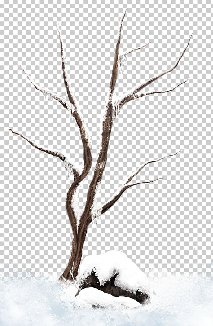 Tree Branch Snow Winter PNG, Clipart, Black And White, Branch, Christmas, Christmas Tree, Drawing Free PNG Download