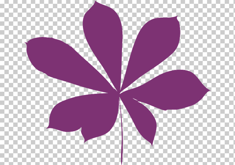 Flower Pollinator Petal Leaf Symmetry PNG, Clipart, Flora, Flower, Geometry, Leaf, Lilac Free PNG Download