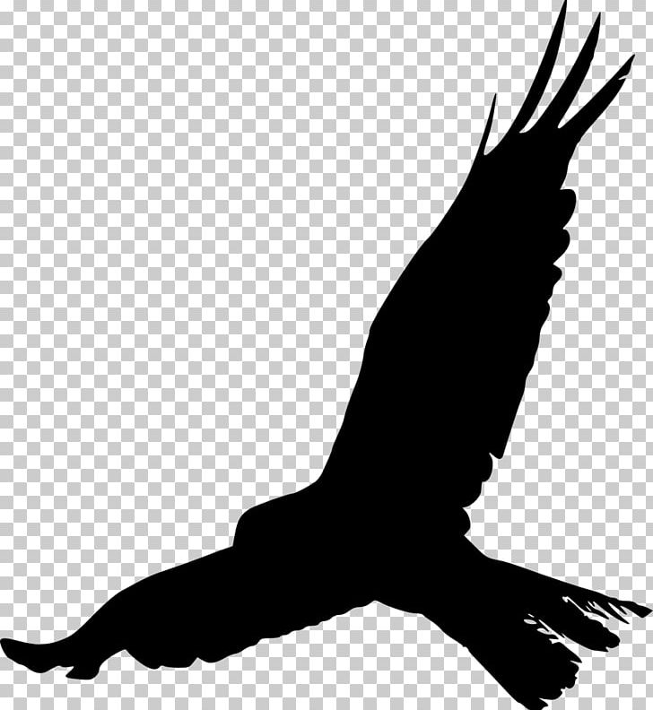 Bird Silhouette Eagle PNG, Clipart, American Crow, Animals, Beak, Bird, Birdcage Free PNG Download