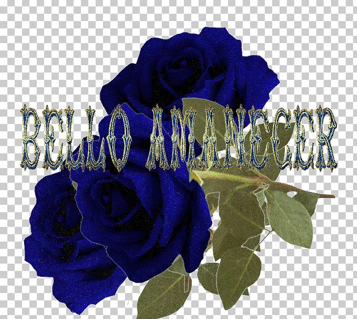 Blue Rose Poemas De Amor Garden Roses Cut Flowers PNG, Clipart, Amanecer, Blue, Blue Rose, Cobalt Blue, Cut Flowers Free PNG Download