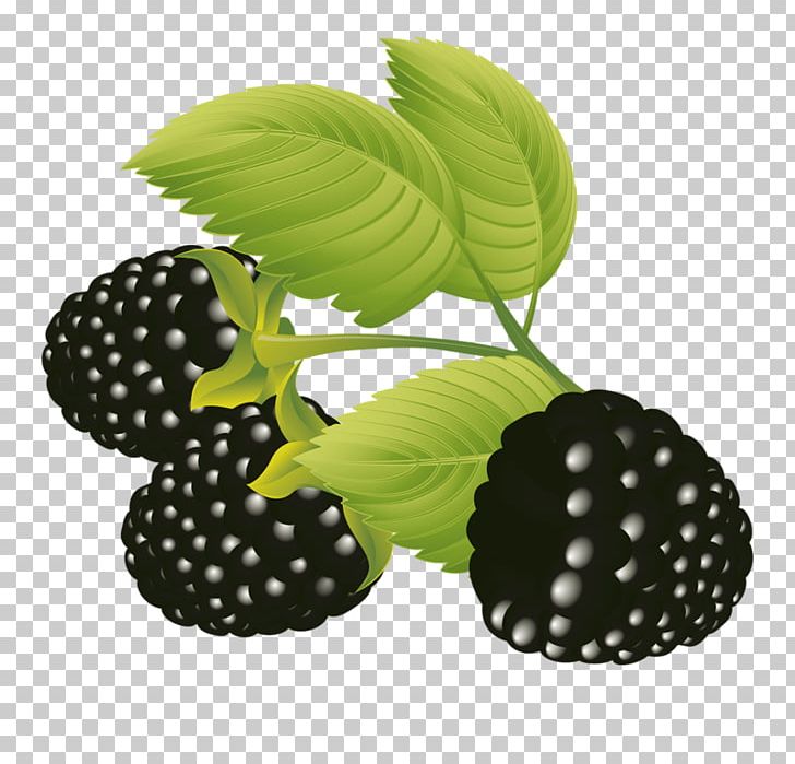 Frutti Di Bosco Fruit Blackberry PNG, Clipart, Berry, Black, Blackberry, Bosco, Clip Art Free PNG Download