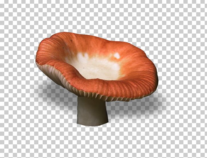 Fungus Mushroom PNG, Clipart, Aspen Mushroom, Brown Cap Boletus, Computer Icons, Digital Image, Edible Mushroom Free PNG Download