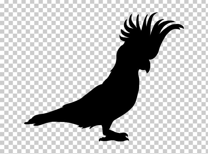 Parrot Perroquet Beak Silhouette PNG, Clipart, Animals, Beak, Bird, Black And White, Chicken Free PNG Download