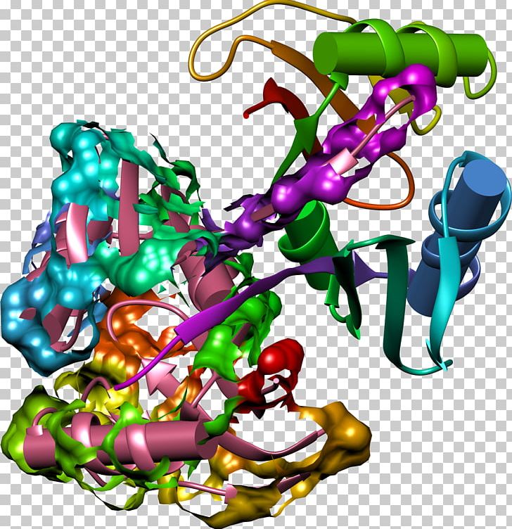 Bleomycin Erlotinib Enzyme Inhibitor Side Effect Denosumab PNG, Clipart, Actinbinding Protein, Adverse Effect, Art, Bleomycin, Celecoxib Free PNG Download